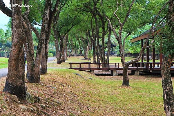 嘉義景點-旺萊山愛情大草原，一大片舒適寬敞乾淨的草地，可以散步、野餐，還可以在涼亭乘坐 @果果愛Fruitlove