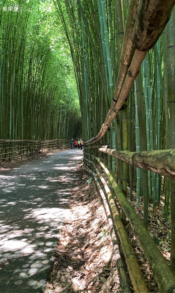 烏嘎彥竹林，媲美日本著名的京都嵐山美景，竹林秘境 @果果愛Fruitlove