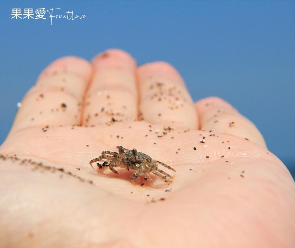 觀音濱海休憩區⟩親子戲水，發現小螃蟹在沙灘蹤跡，伴著海潮之聲，欣賞夕陽西下 @果果愛Fruitlove