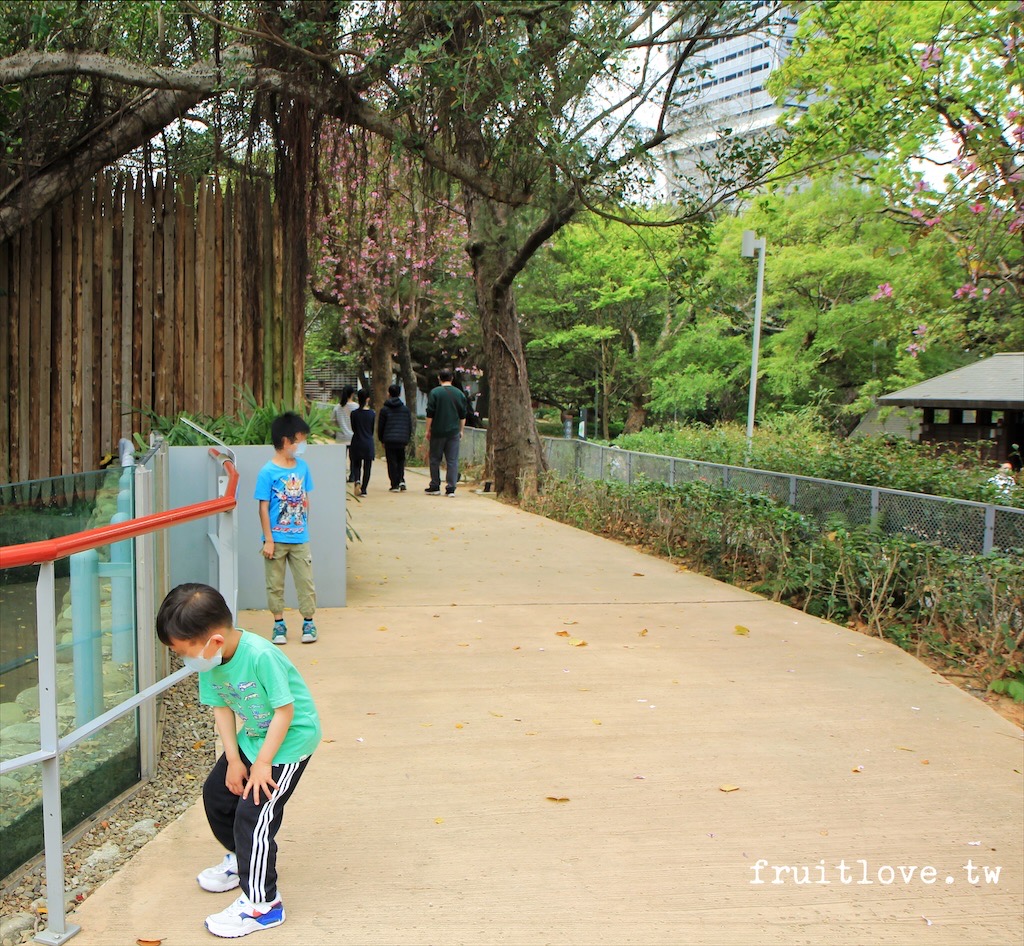 新竹市立動物園⟩原址現存最老的動物園，小而巧，小孩放電好地方-新竹東區親子景點 @果果愛Fruitlove