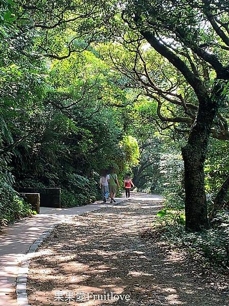 二子坪步道|陽明山最輕鬆的森林步道，二子坪遊客服務站，美景如畫，輕鬆就可以享受芬多精 @果果愛Fruitlove