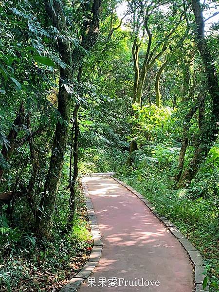 二子坪步道|陽明山最輕鬆的森林步道，二子坪遊客服務站，美景如畫，輕鬆就可以享受芬多精 @果果愛Fruitlove