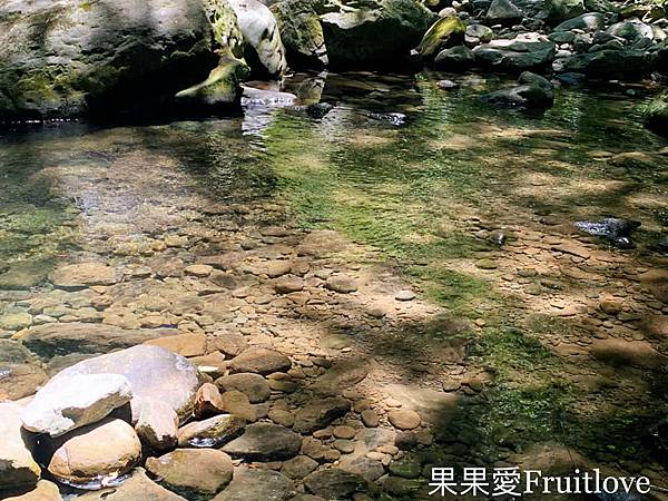 隨風飄落的桐花，美得像是一幅畫，台灣客家文化館賞桐看地景藝術 @果果愛Fruitlove