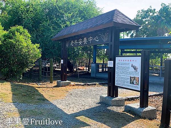 彰化景點-溪州公園親子草地野餐、餵魚，賞花，還有滿滿芬多精的森林步道 @果果愛Fruitlove