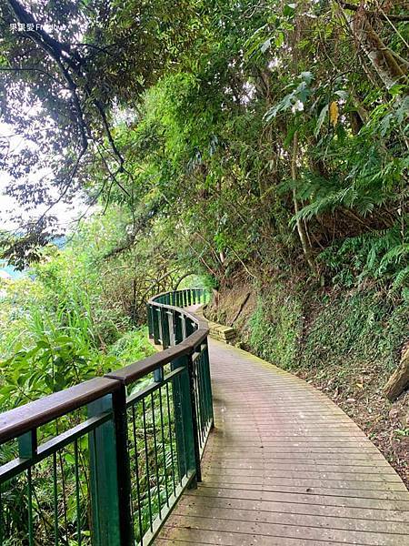 涵碧步道⟩漫步詩意的輕鬆森林步道，欣賞每次蜿蜒後的不同景緻，享受心靈的沉澱、放鬆、充電-南投日月潭景點/寵物友善 @果果愛Fruitlove