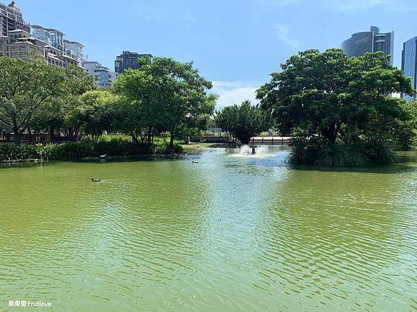 水圳森林公園⟩漫步湖畔，享受都市中的寧靜，都市裡放鬆的景點 @果果愛Fruitlove